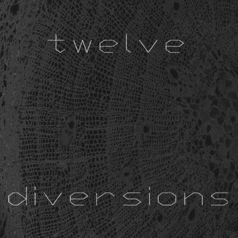 Twelve diversions