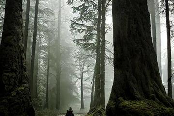 MODHIFY Stone giant stories