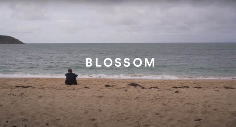 Zimmia Blossom