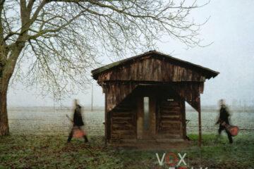 Vox Folk Process