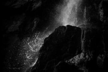 steve lorchestre de la nuit