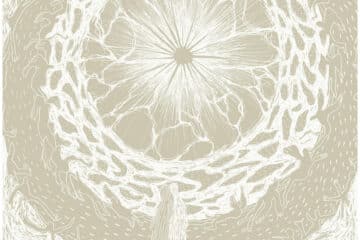 DISCORDANCE INWARD