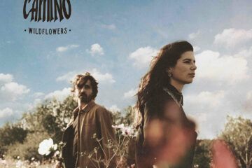 Grand Camino Wildflowers