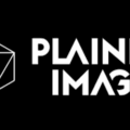 paline images logo