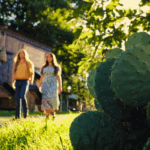 Two Magnets A Hillbilly Elegy