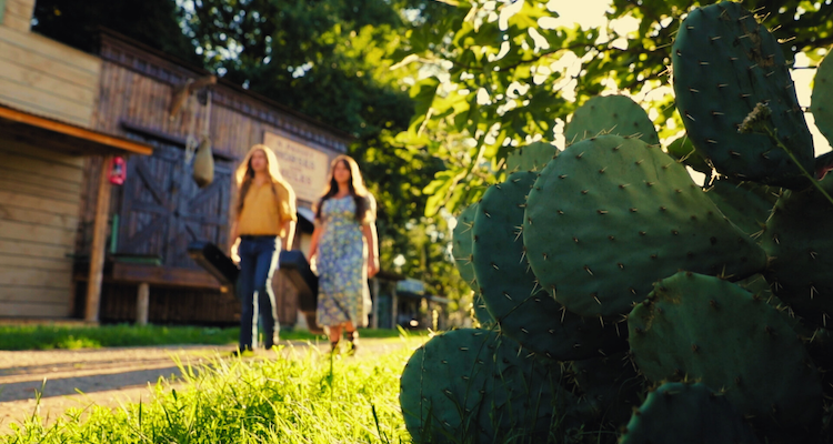 Two Magnets A Hillbilly Elegy