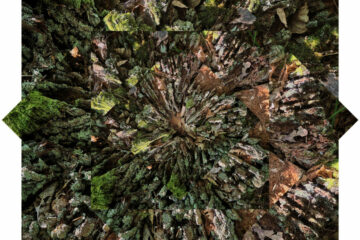 Plaine Entre temps et landes