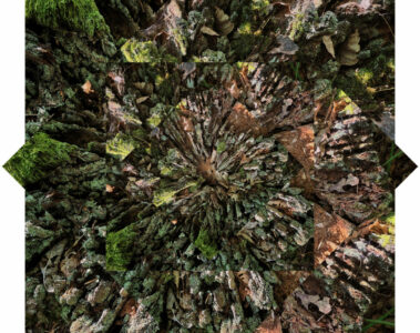 Plaine Entre temps et landes