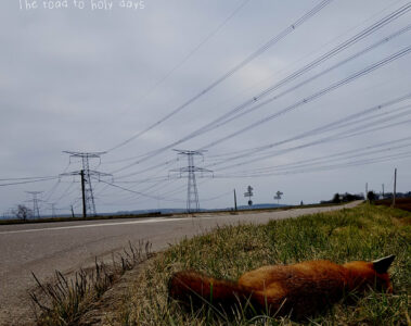 MOGZ The road to holy days