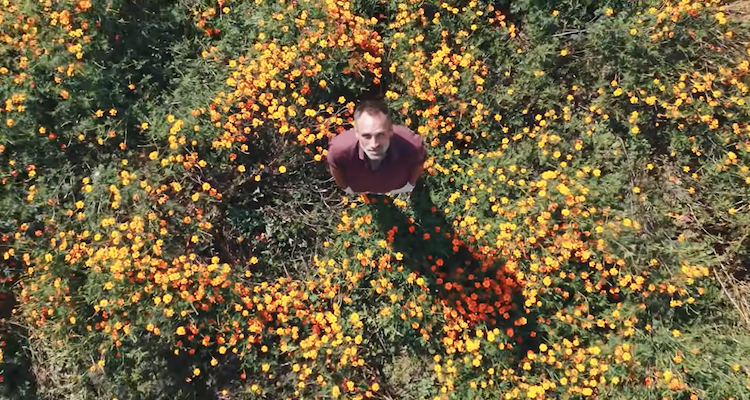 PAUL D'AMOUR AU JARDIN DES DÉLICES