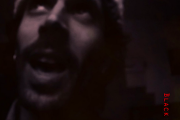 The Wooden Wolf Black Fire