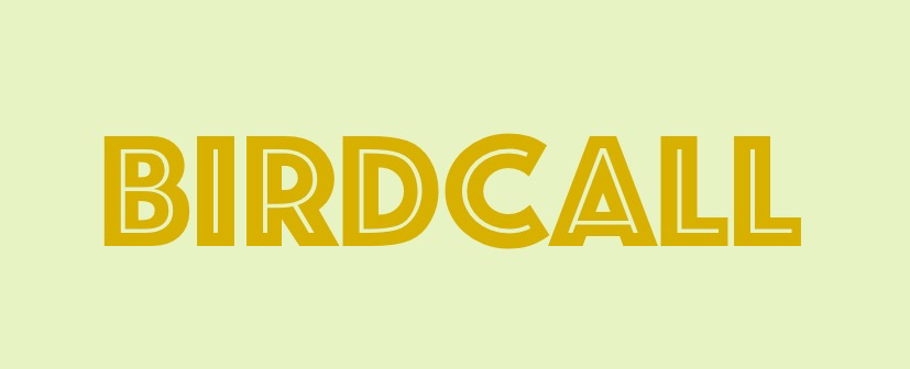 birdcall-publishing-2-1.jpg