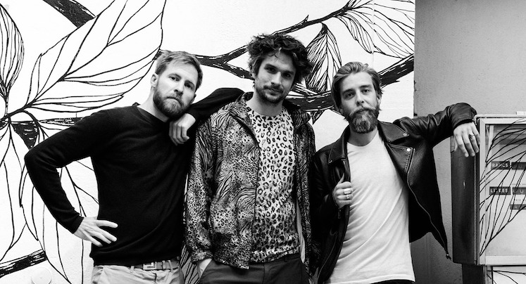 mojo-sapiens-1.jpg