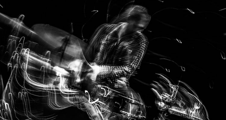 myotis-solo-1.jpg